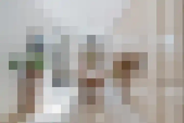 Schiebroekselaan 61 A Rotterdam thumbnail 11
