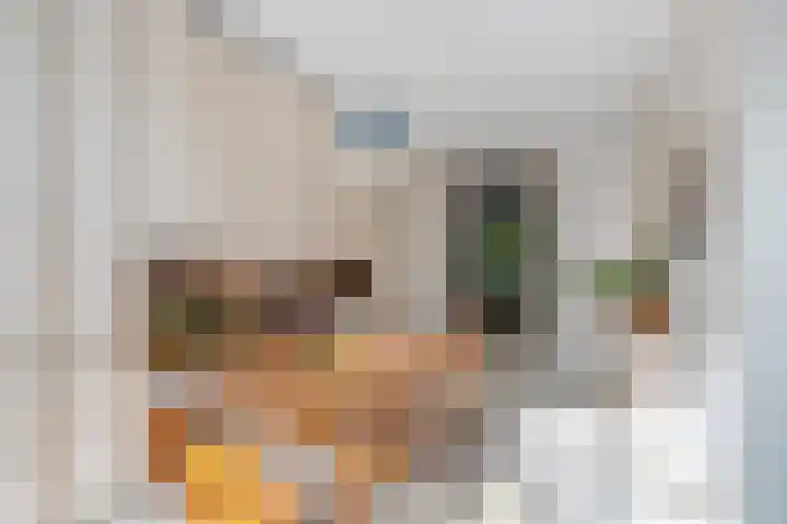 Schiebroekselaan 61 A Rotterdam thumbnail 12