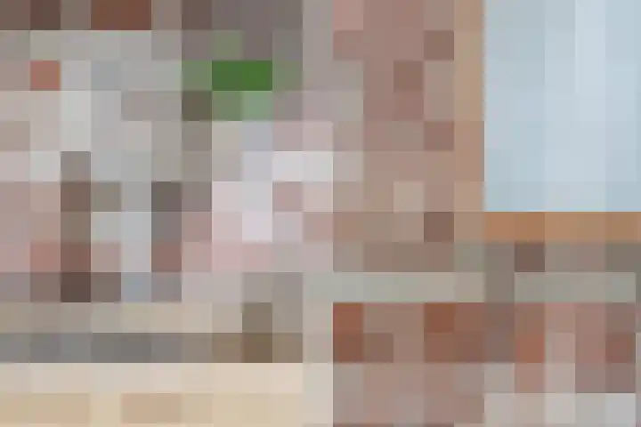 Schiebroekselaan 61 A Rotterdam thumbnail 16