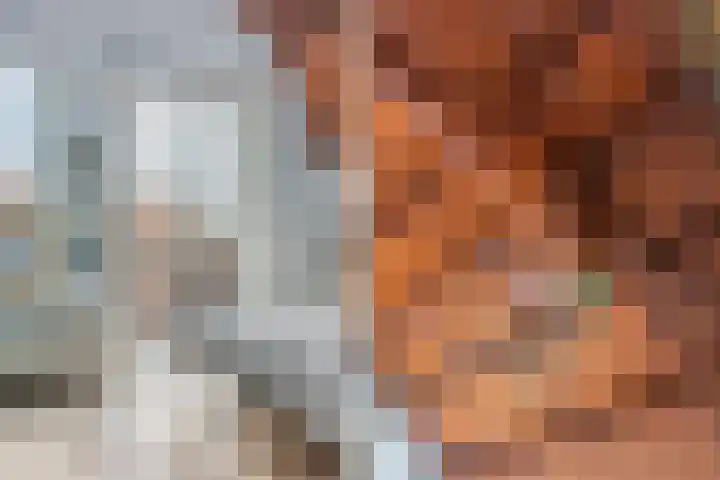 Schiebroekselaan 61 A Rotterdam thumbnail 22