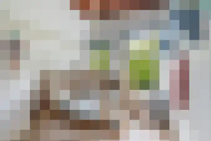 Schiebroekselaan 61 A Rotterdam thumbnail 28