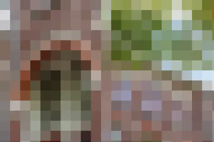 Schiebroekselaan 61 A Rotterdam thumbnail 30
