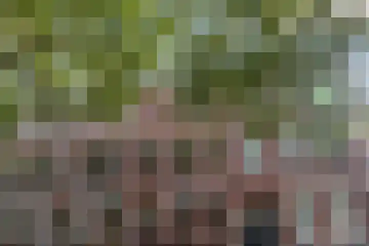 Schiebroekselaan 61 A Rotterdam thumbnail 32