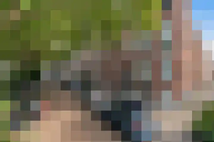 Schiebroekselaan 61 A Rotterdam thumbnail 33