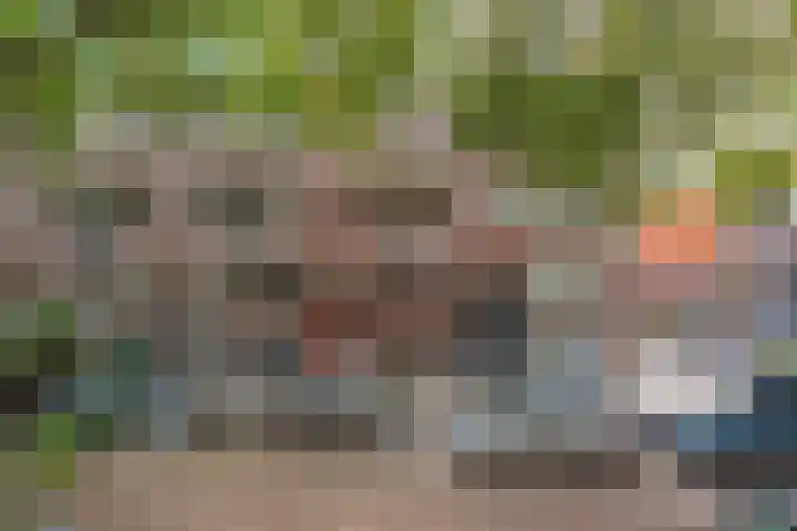 Schiebroekselaan 61 A Rotterdam thumbnail 5