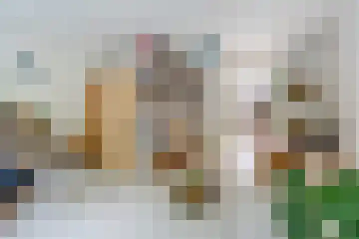 Schiebroekselaan 61 A Rotterdam thumbnail 6