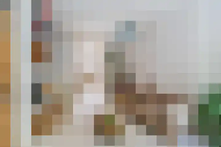 Schiebroekselaan 61 A Rotterdam thumbnail 7