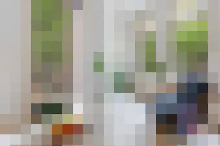 Schiebroekselaan 61 A Rotterdam thumbnail 8