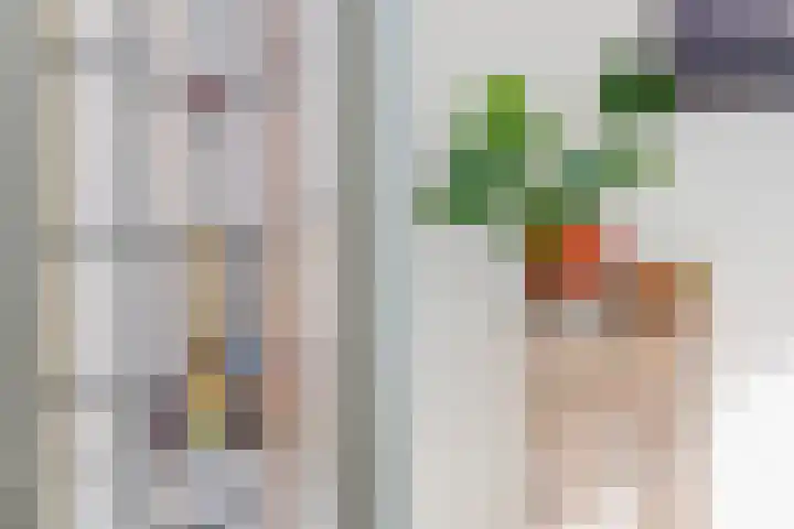 Schiebroekselaan 61 A Rotterdam thumbnail 9