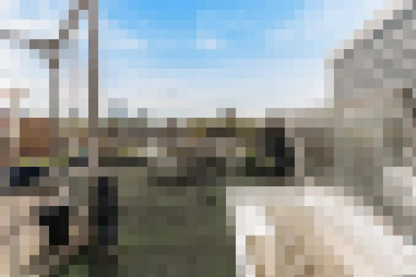 Schiebroekselaan 71 A 02 Rotterdam thumbnail 40