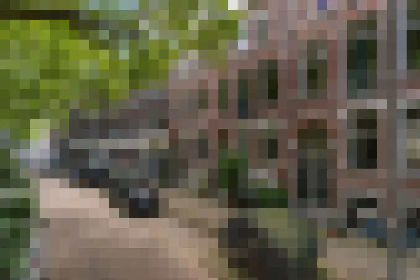 Schiebroekselaan 71 A 02 Rotterdam thumbnail 45