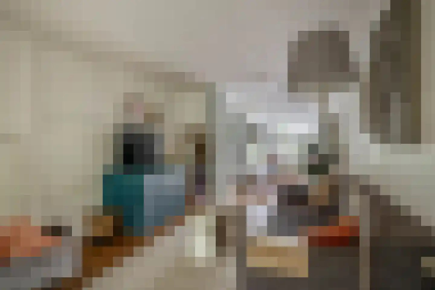 Schiebroekselaan 75 A Rotterdam thumbnail 12