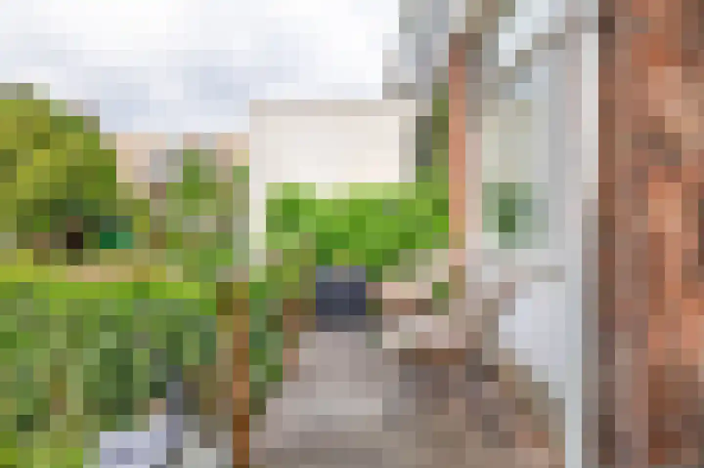 Schiebroekselaan 75 A Rotterdam thumbnail 19