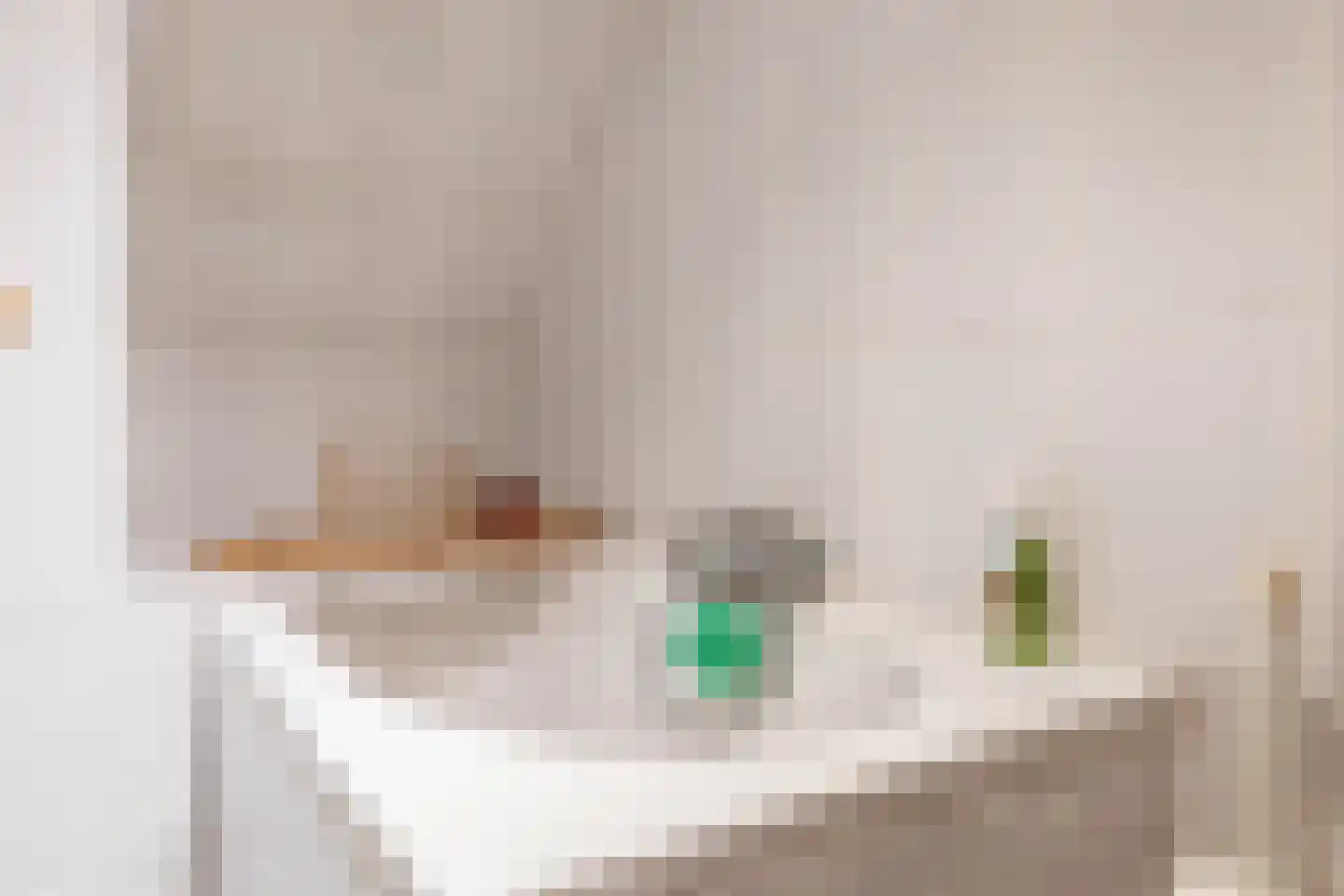 Schiebroekselaan 75 A Rotterdam thumbnail 30
