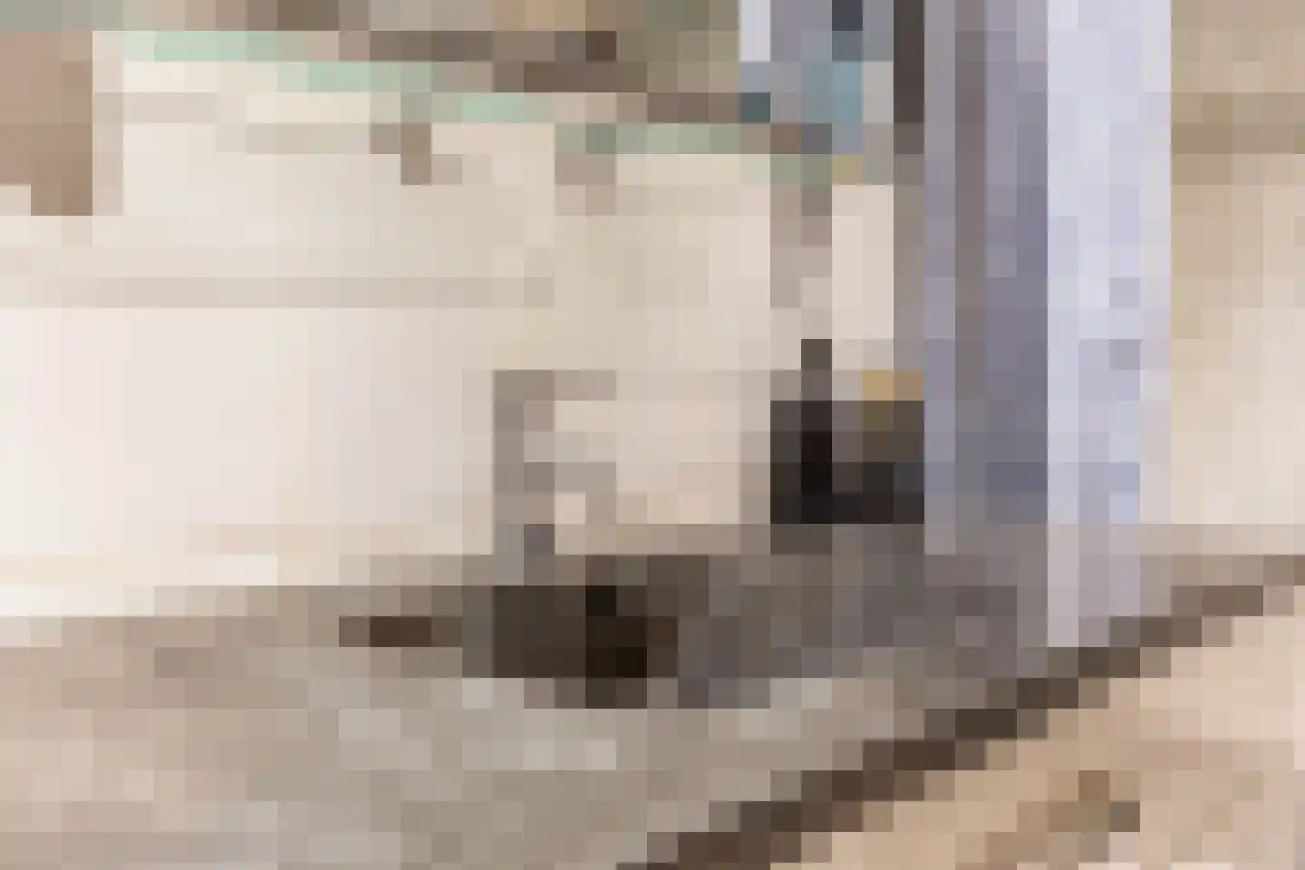 Schiebroekselaan 75 A Rotterdam thumbnail 31