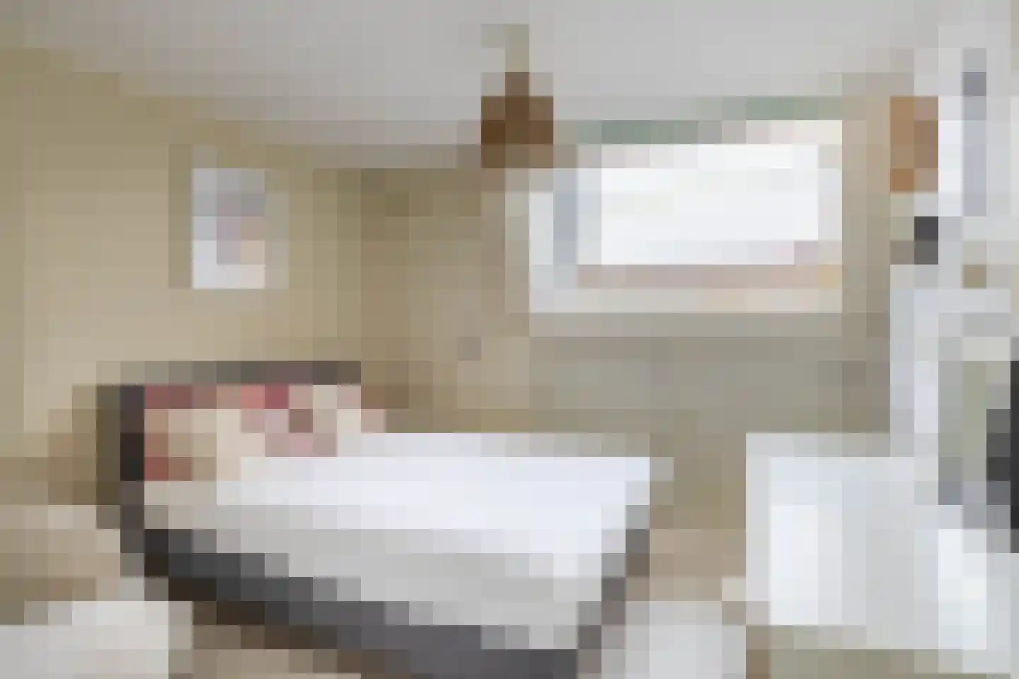 Schiebroekselaan 75 A Rotterdam thumbnail 35