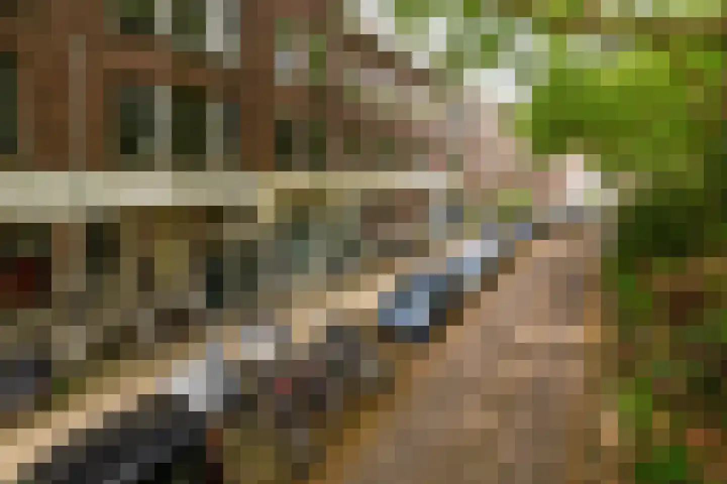 Schiebroekselaan 75 A Rotterdam thumbnail 4