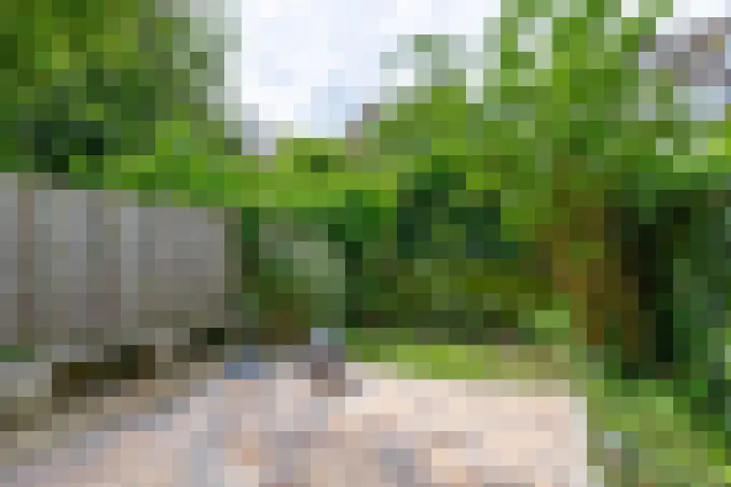 Schiebroekselaan 75 A Rotterdam thumbnail 7