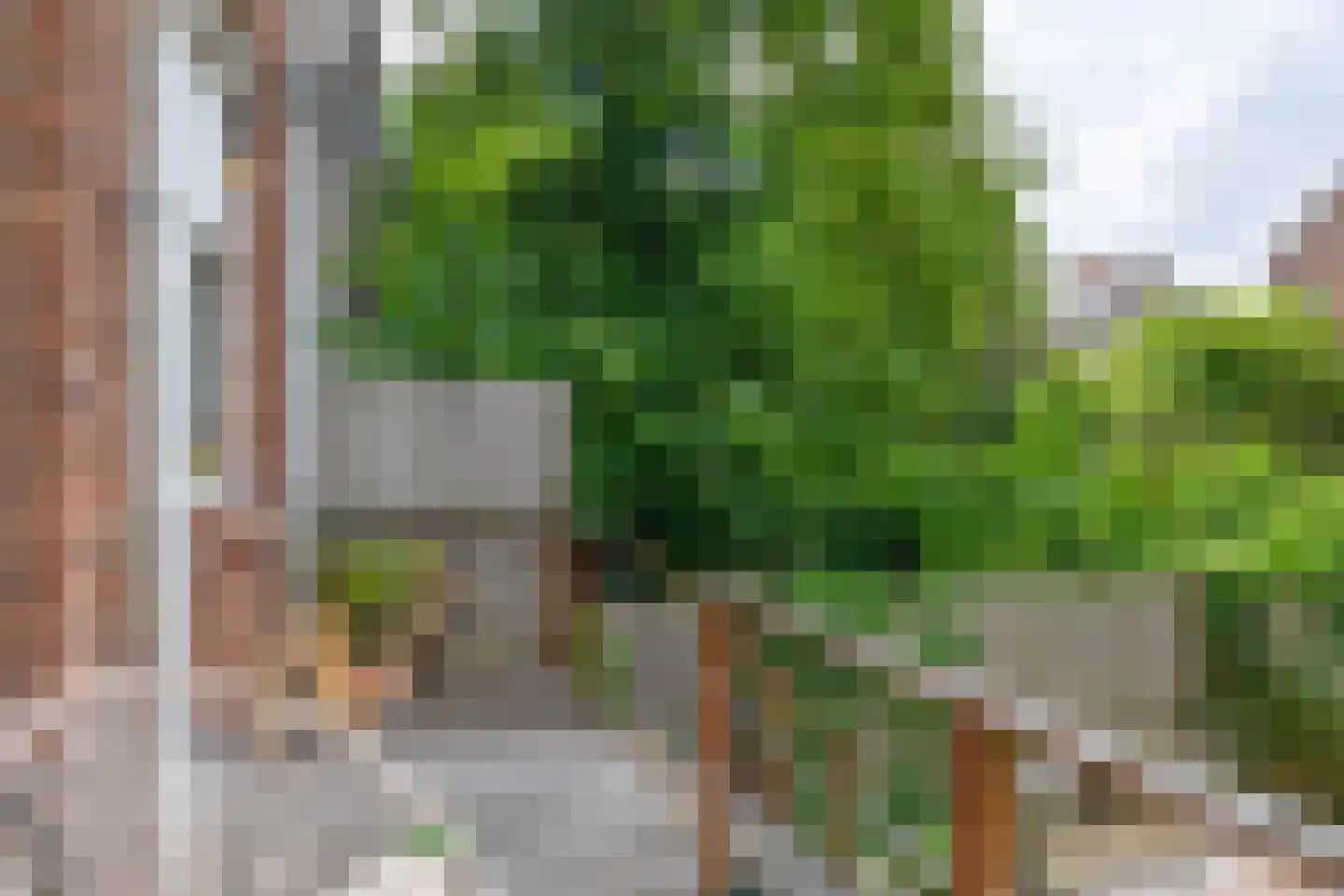Schiebroekselaan 75 B 01 Rotterdam thumbnail 20