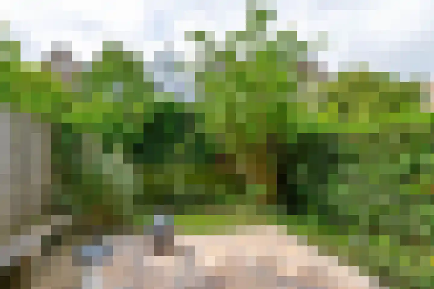 Schiebroekselaan 75 B 01 Rotterdam thumbnail 21