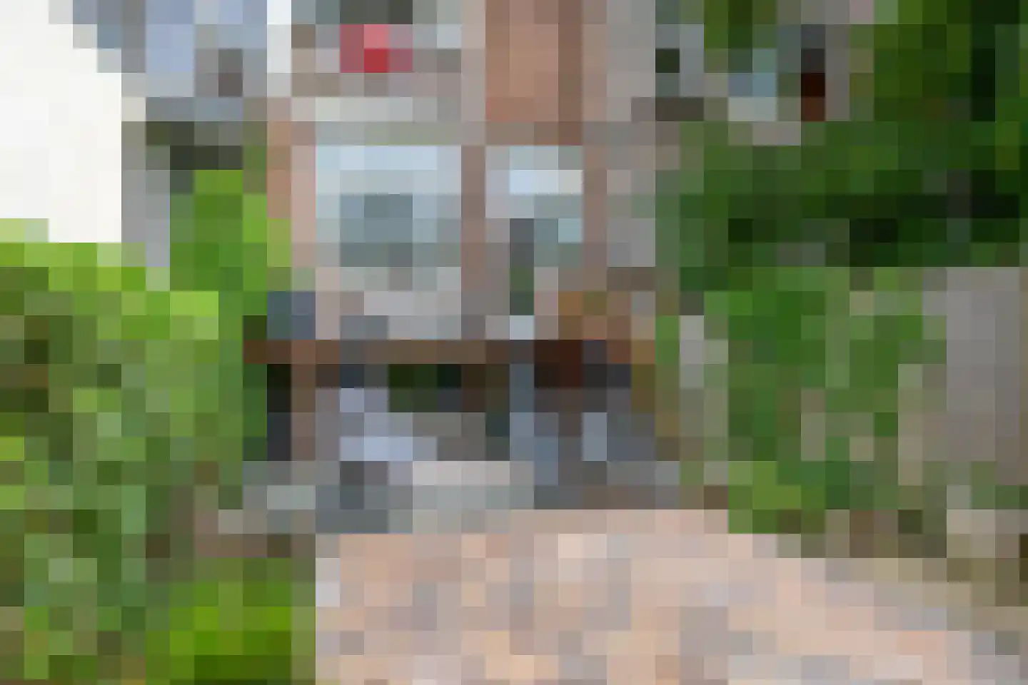 Schiebroekselaan 75 B 01 Rotterdam thumbnail 22