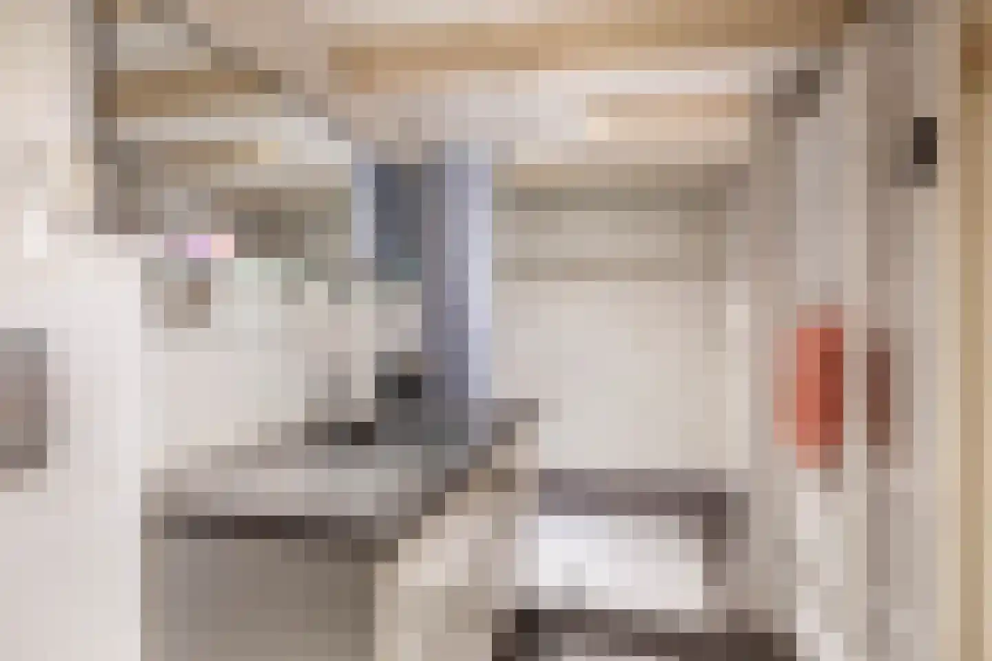 Schiebroekselaan 75 B 01 Rotterdam thumbnail 28