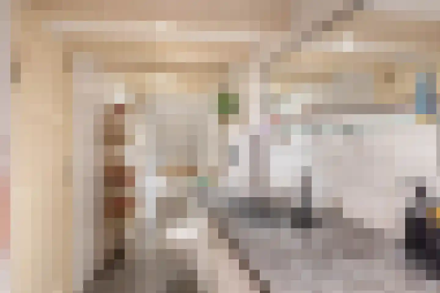 Schiebroekselaan 75 B 01 Rotterdam thumbnail 29