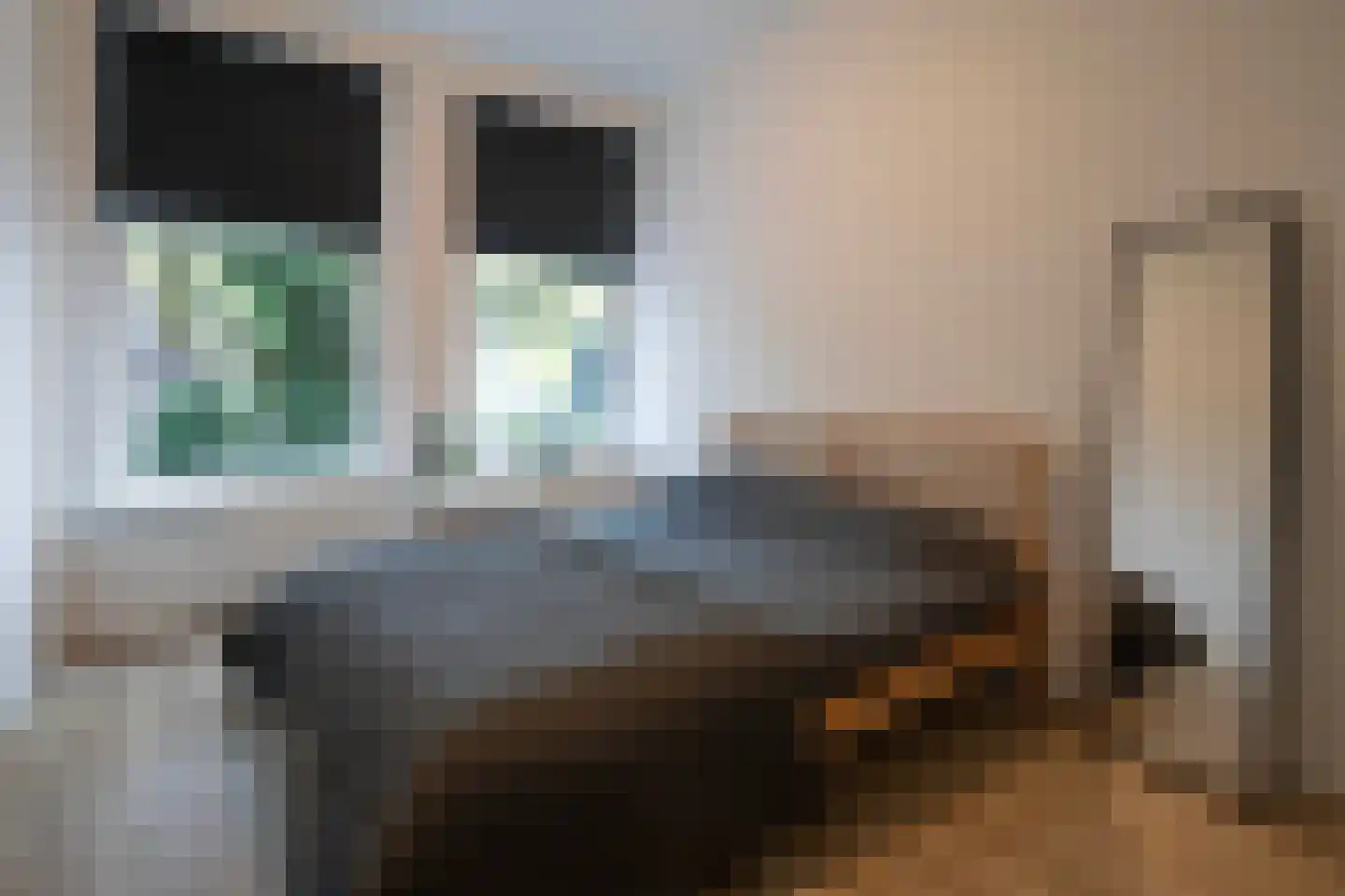 Schiebroekselaan 81 01 Rotterdam thumbnail 11