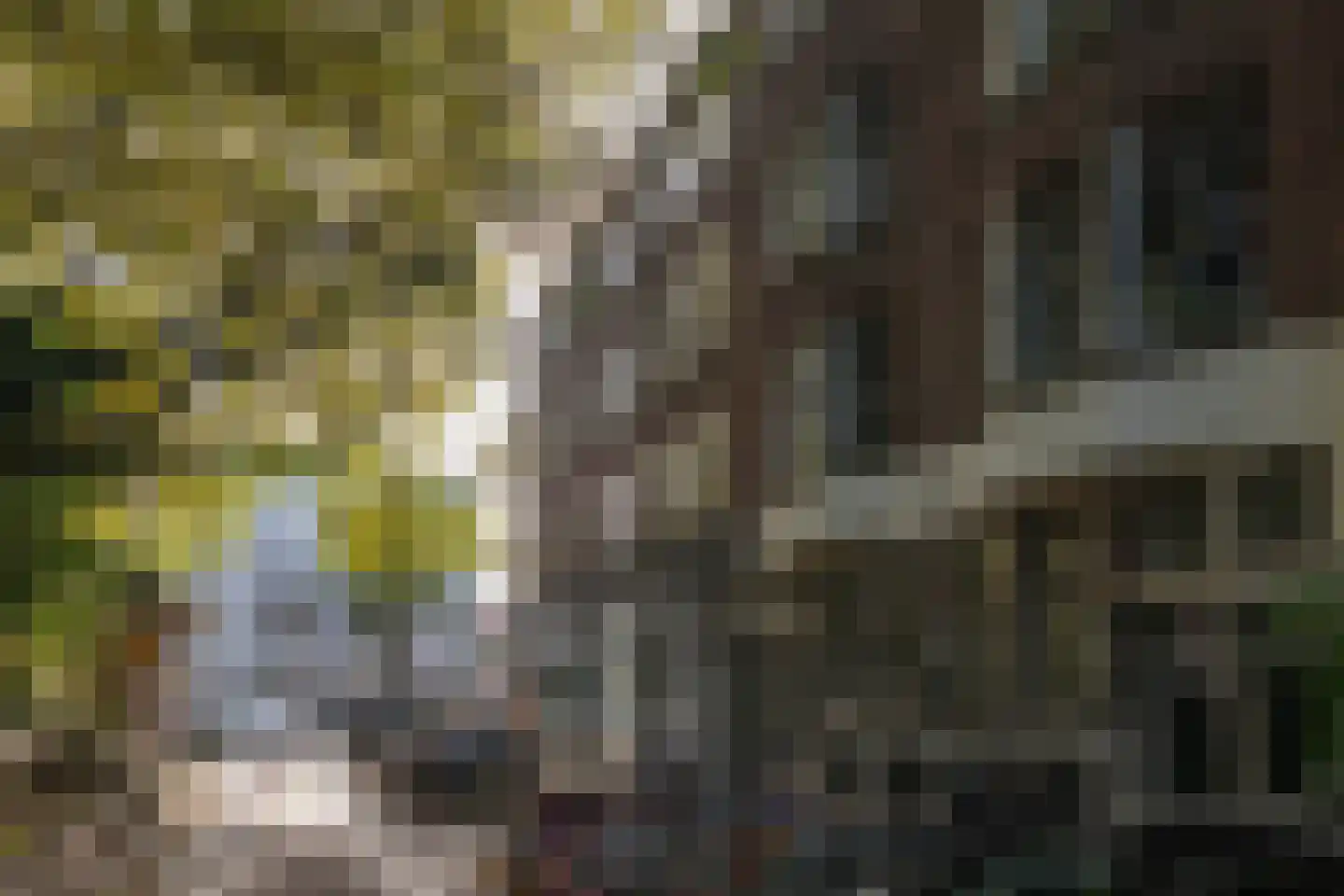 Schiebroekselaan 81 01 Rotterdam thumbnail 18