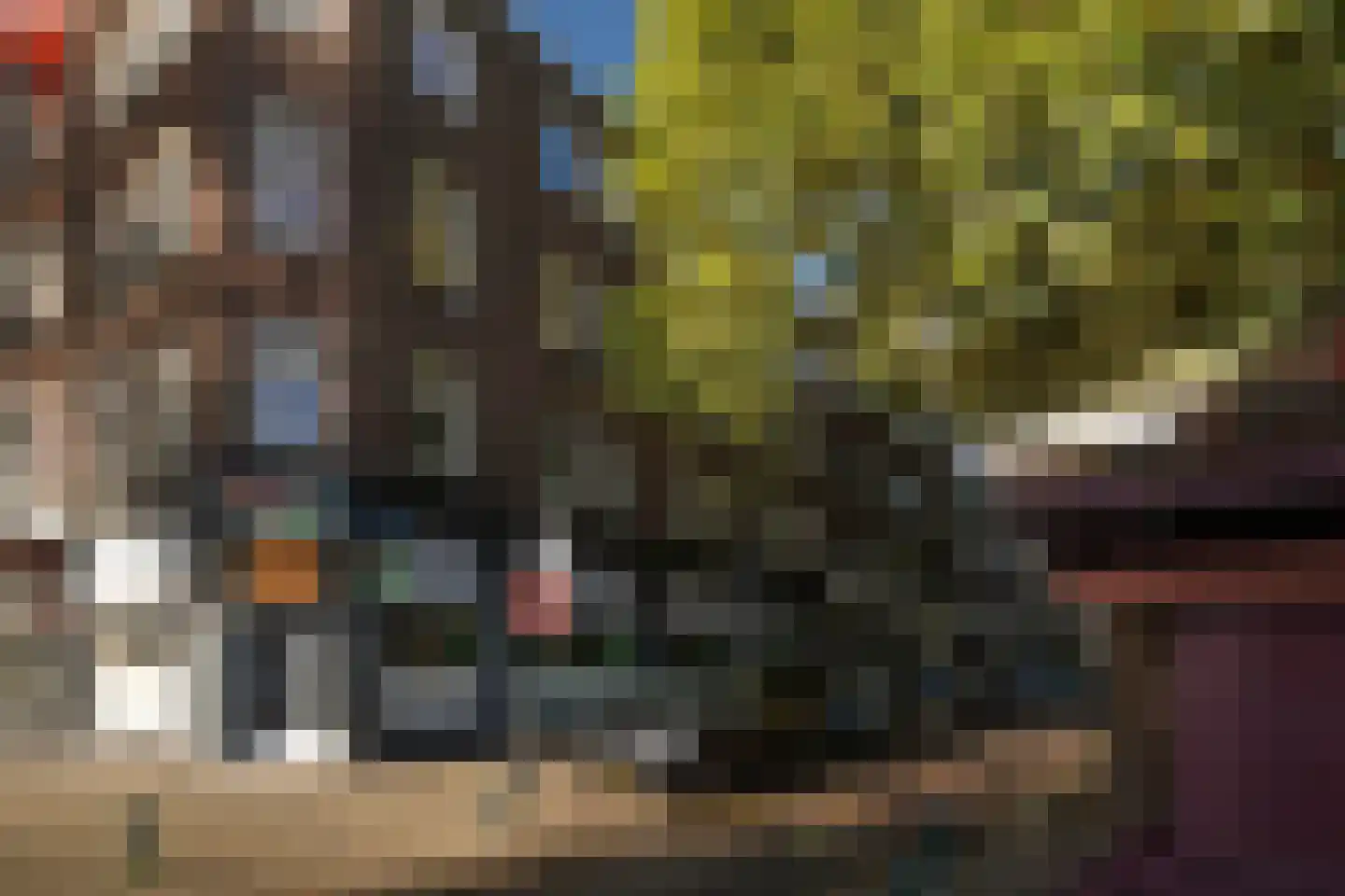 Schiebroekselaan 81 01 Rotterdam thumbnail 19