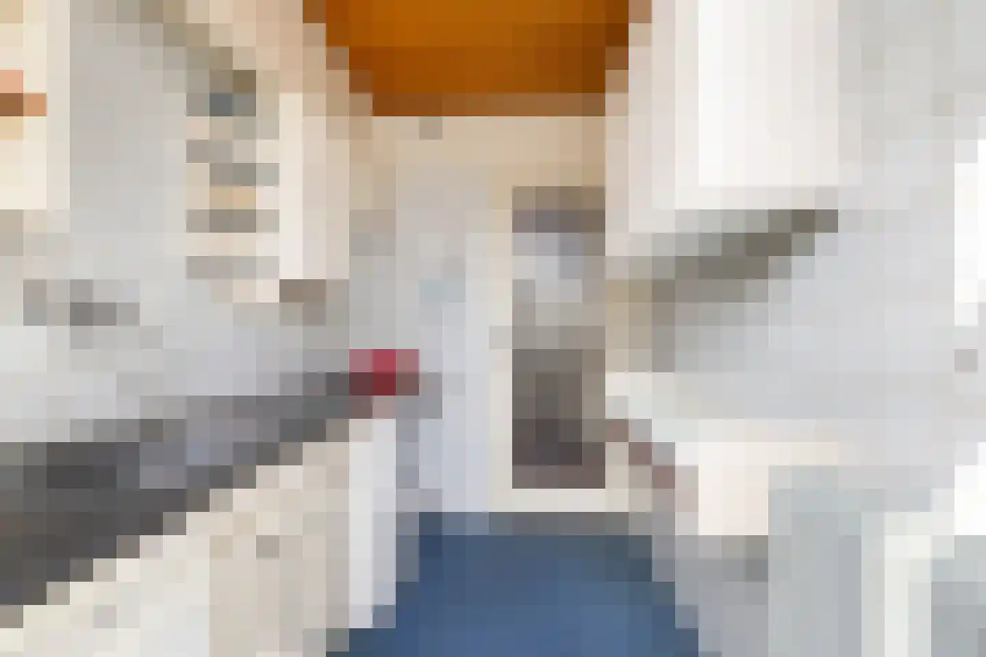 Schiebroeksesingel 35 Rotterdam thumbnail 12