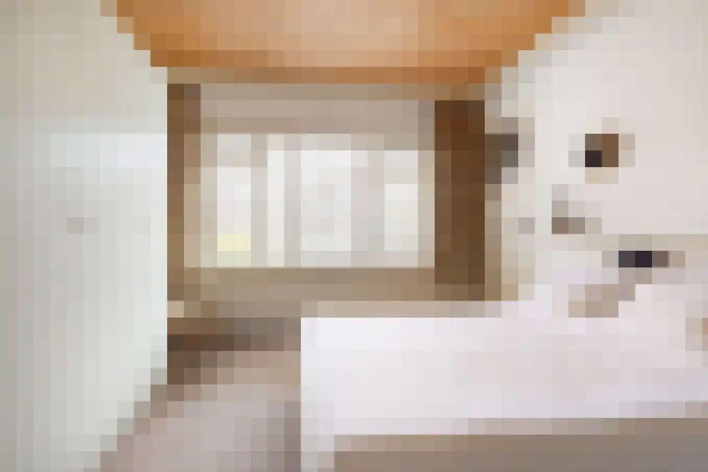 Schiebroeksesingel 35 Rotterdam thumbnail 22