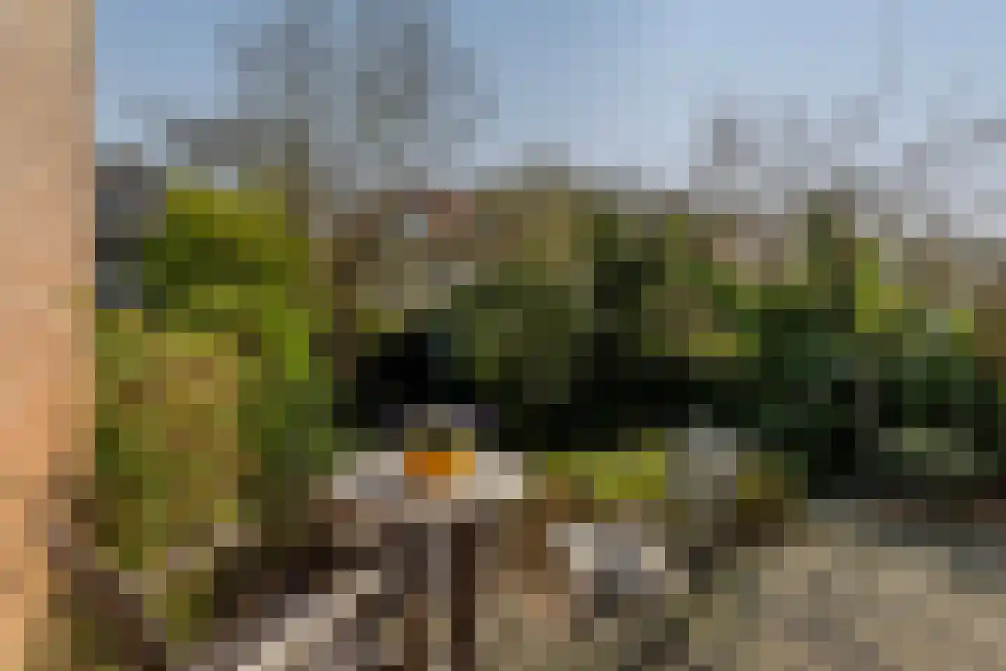 Schiebroeksesingel 35 Rotterdam thumbnail 34