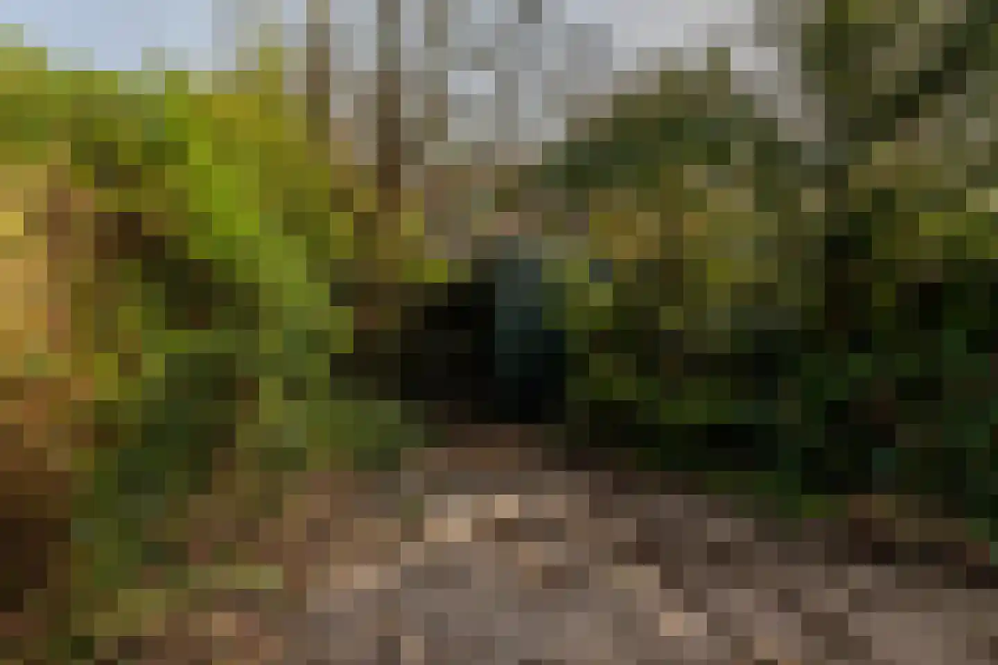 Schiebroeksesingel 35 Rotterdam thumbnail 37