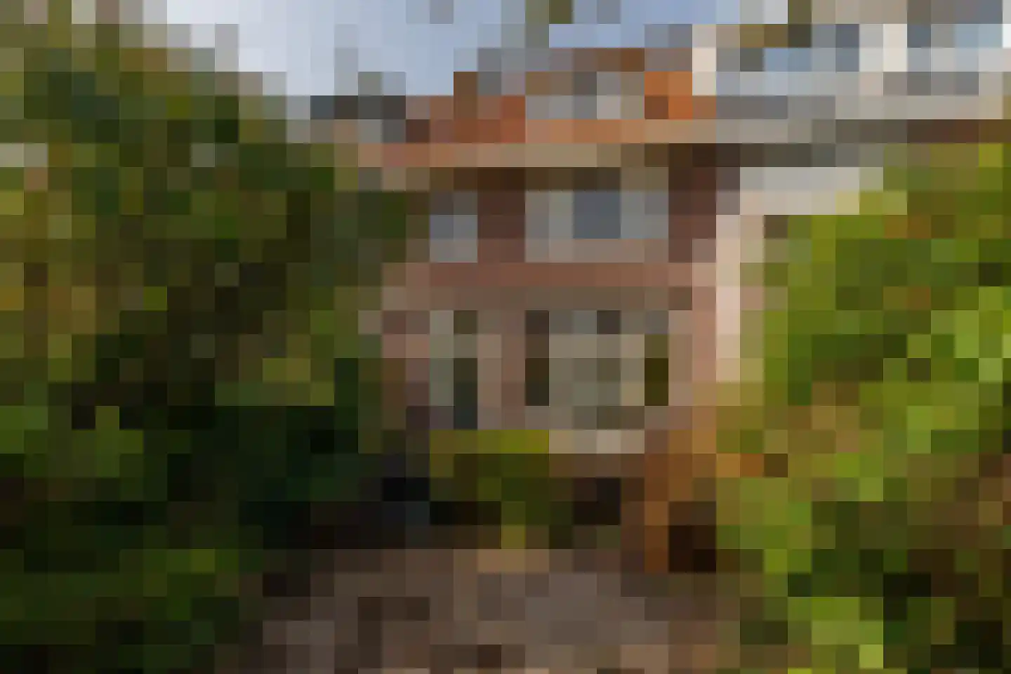 Schiebroeksesingel 35 Rotterdam thumbnail 38