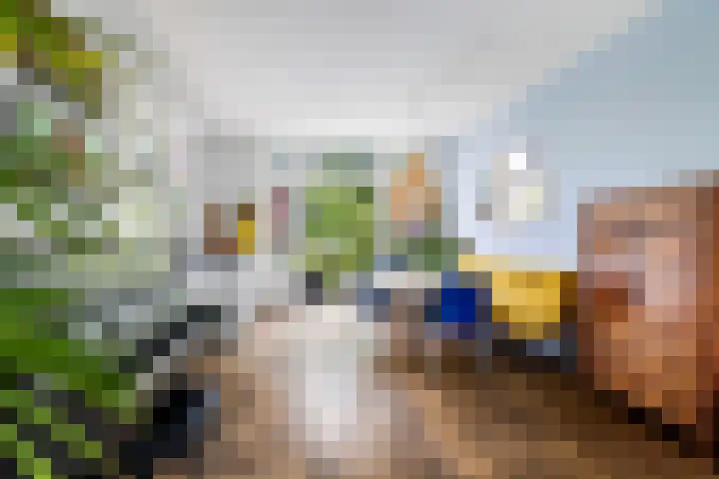 Schiebroeksesingel 8 Rotterdam thumbnail 10