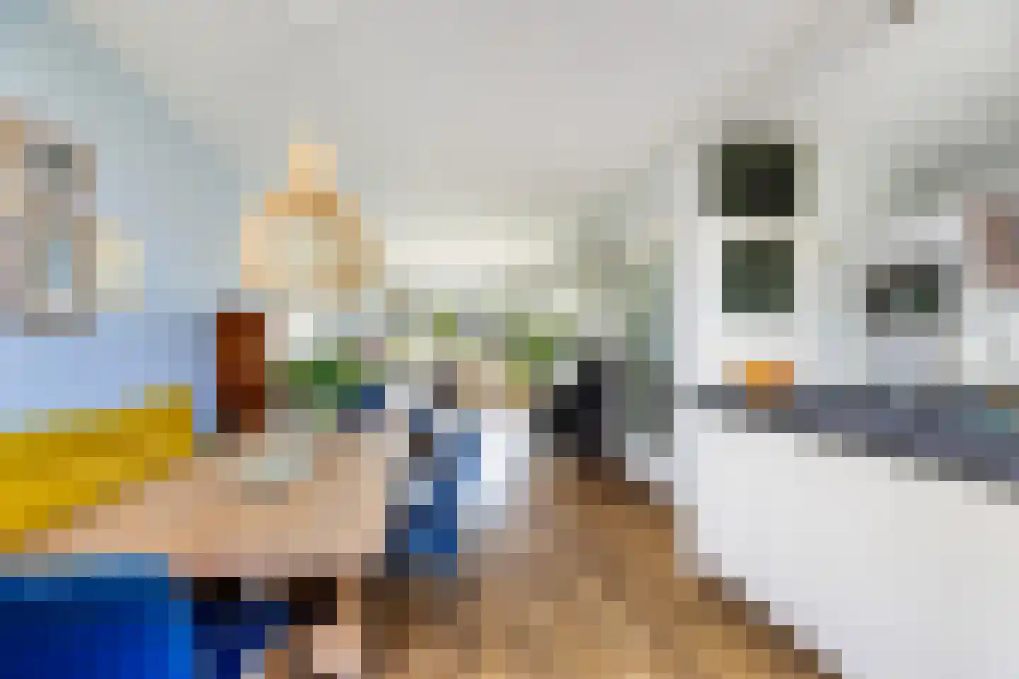 Schiebroeksesingel 8 Rotterdam thumbnail 13