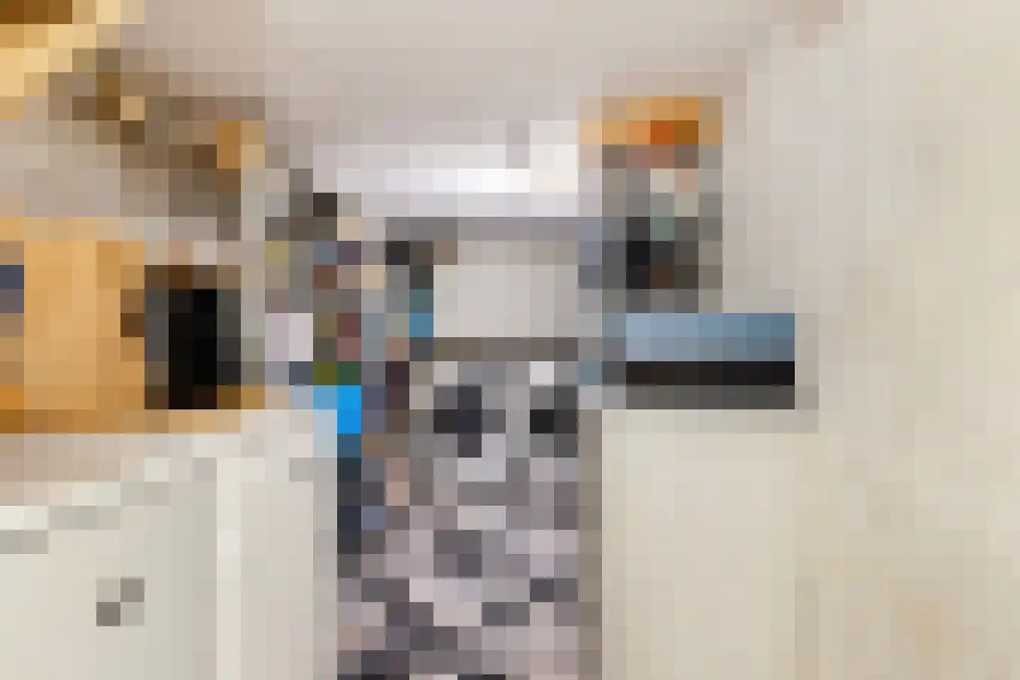 Schiebroeksesingel 8 Rotterdam thumbnail 15