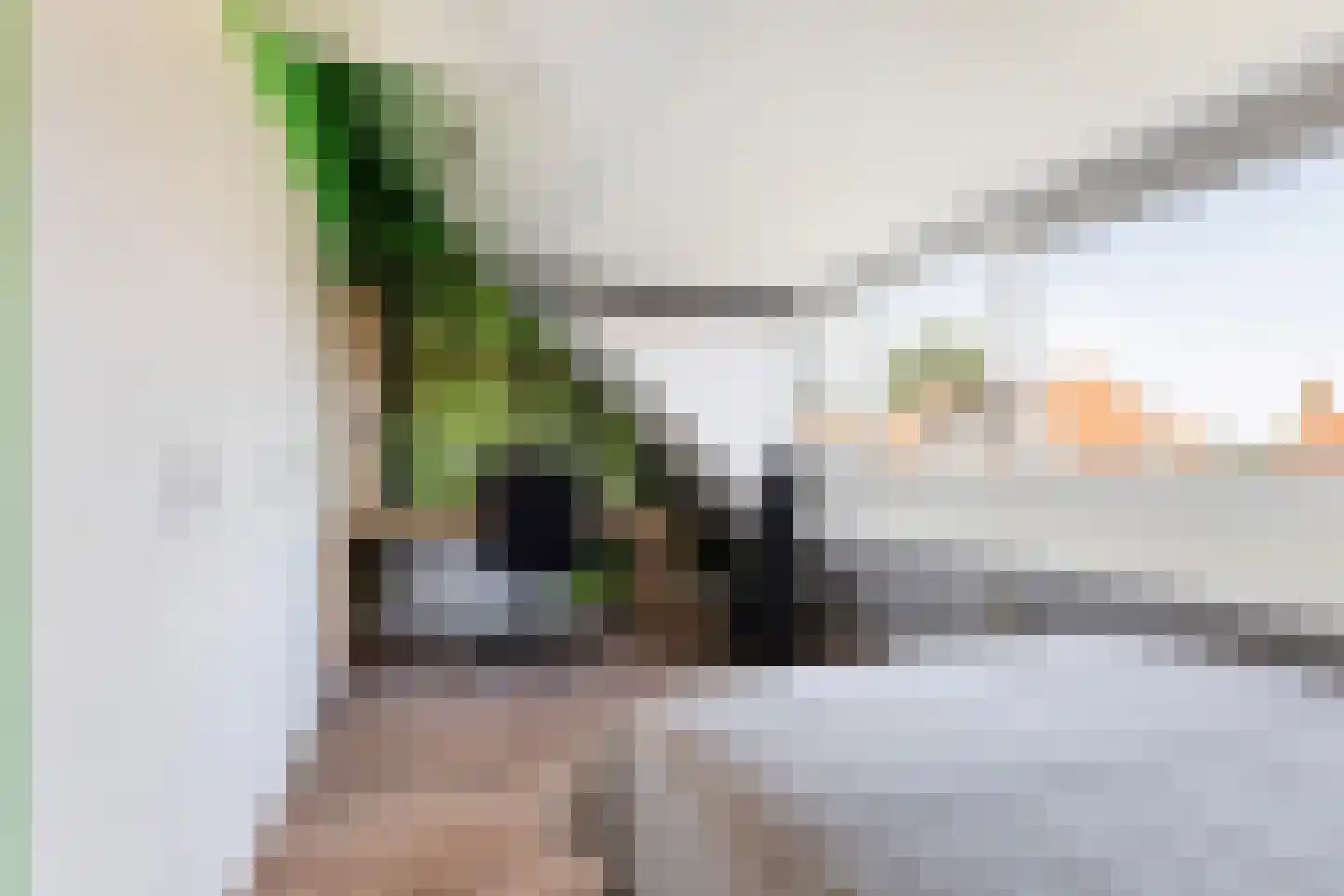 Schiebroeksesingel 8 Rotterdam thumbnail 22