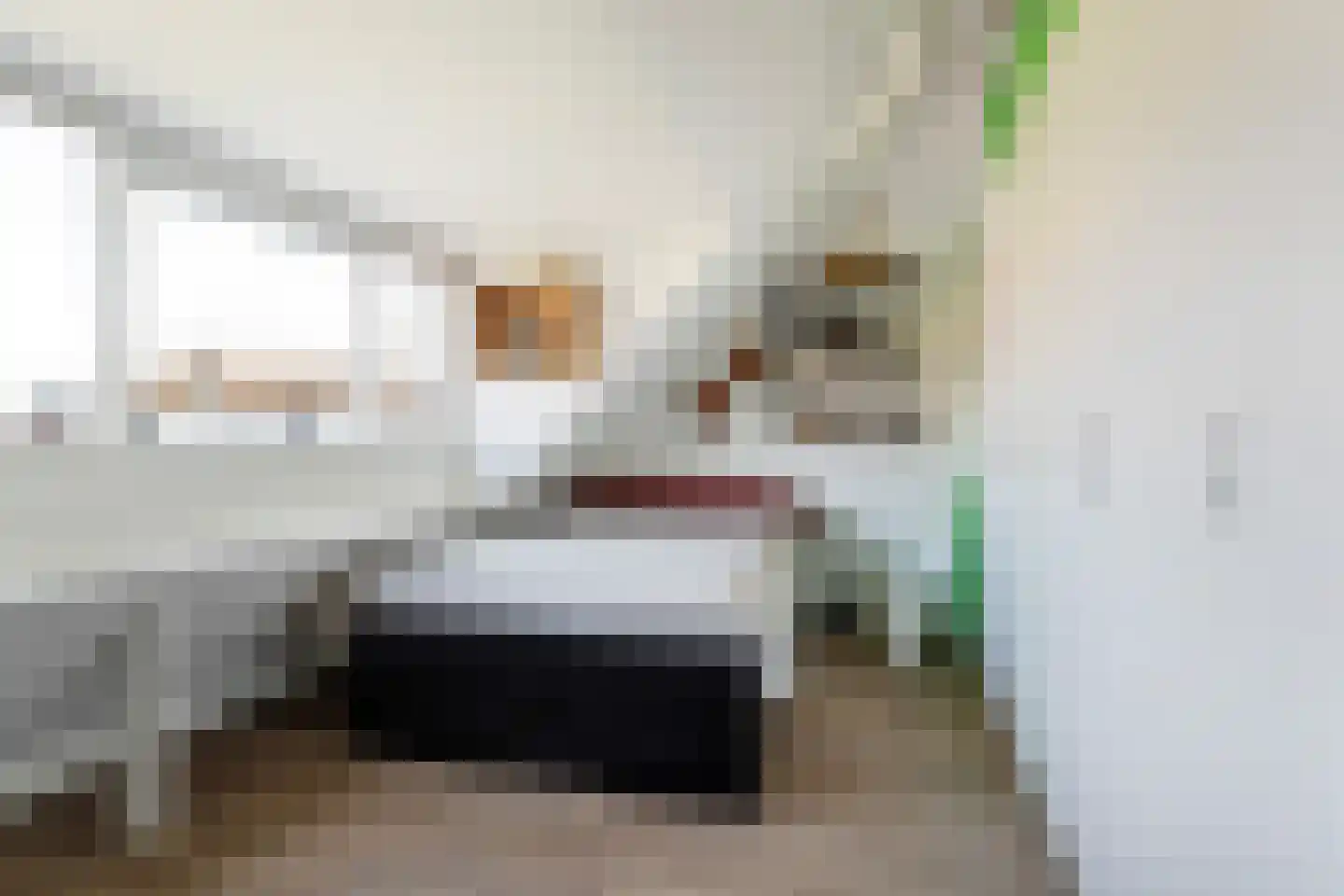 Schiebroeksesingel 8 Rotterdam thumbnail 23