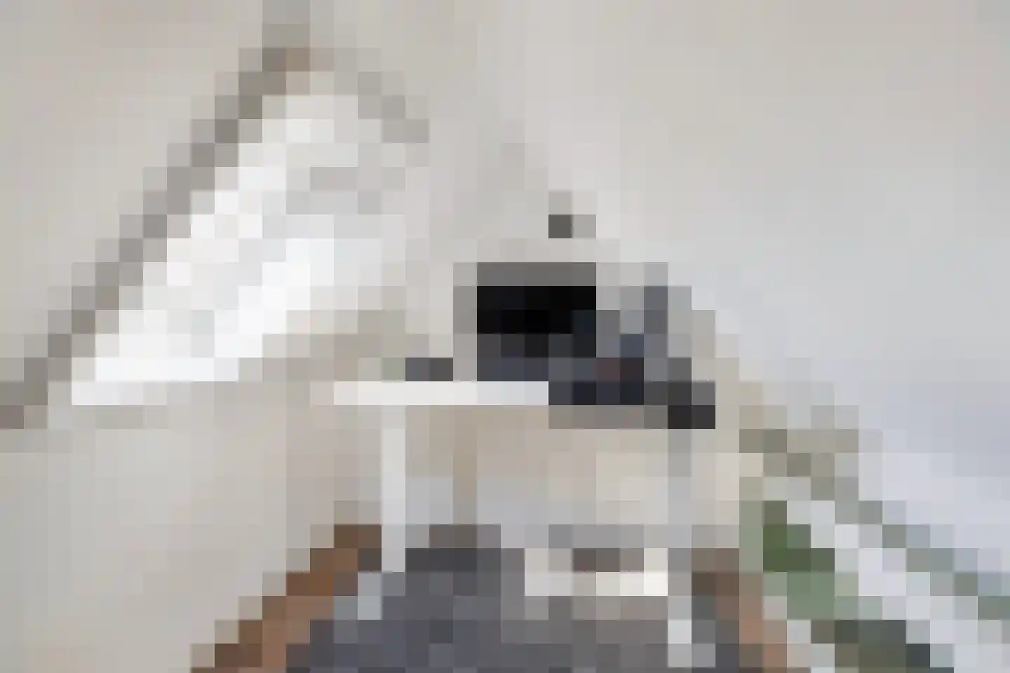 Schiebroeksesingel 8 Rotterdam thumbnail 24