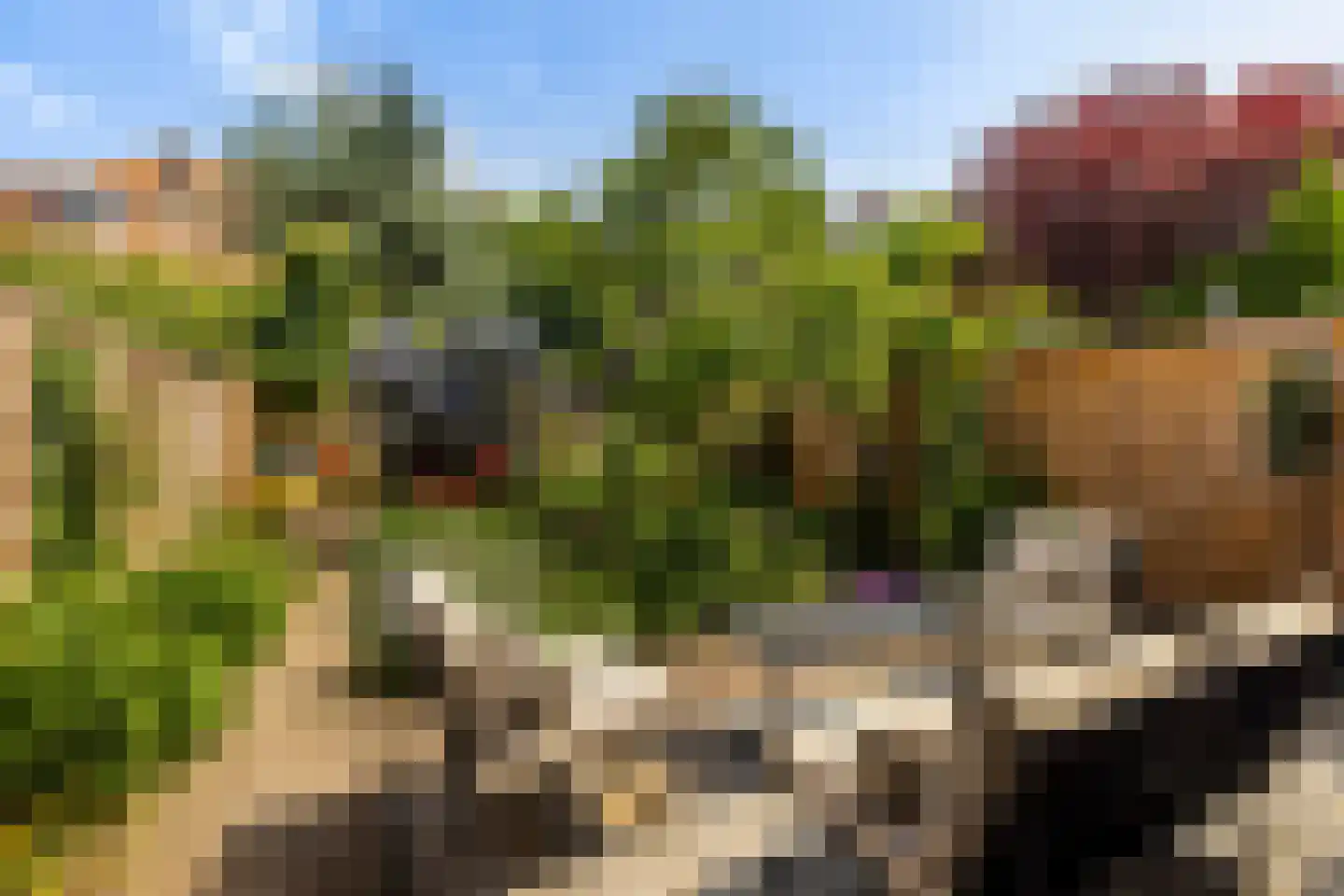 Schiebroeksesingel 8 Rotterdam foto 3