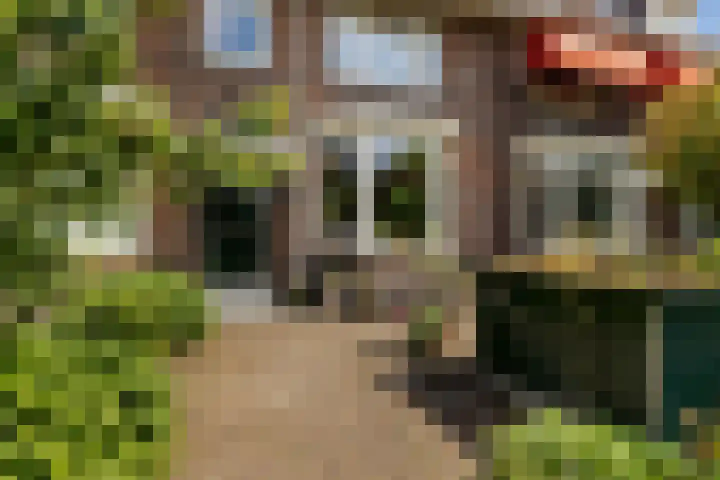 Schiebroeksesingel 8 Rotterdam thumbnail 31