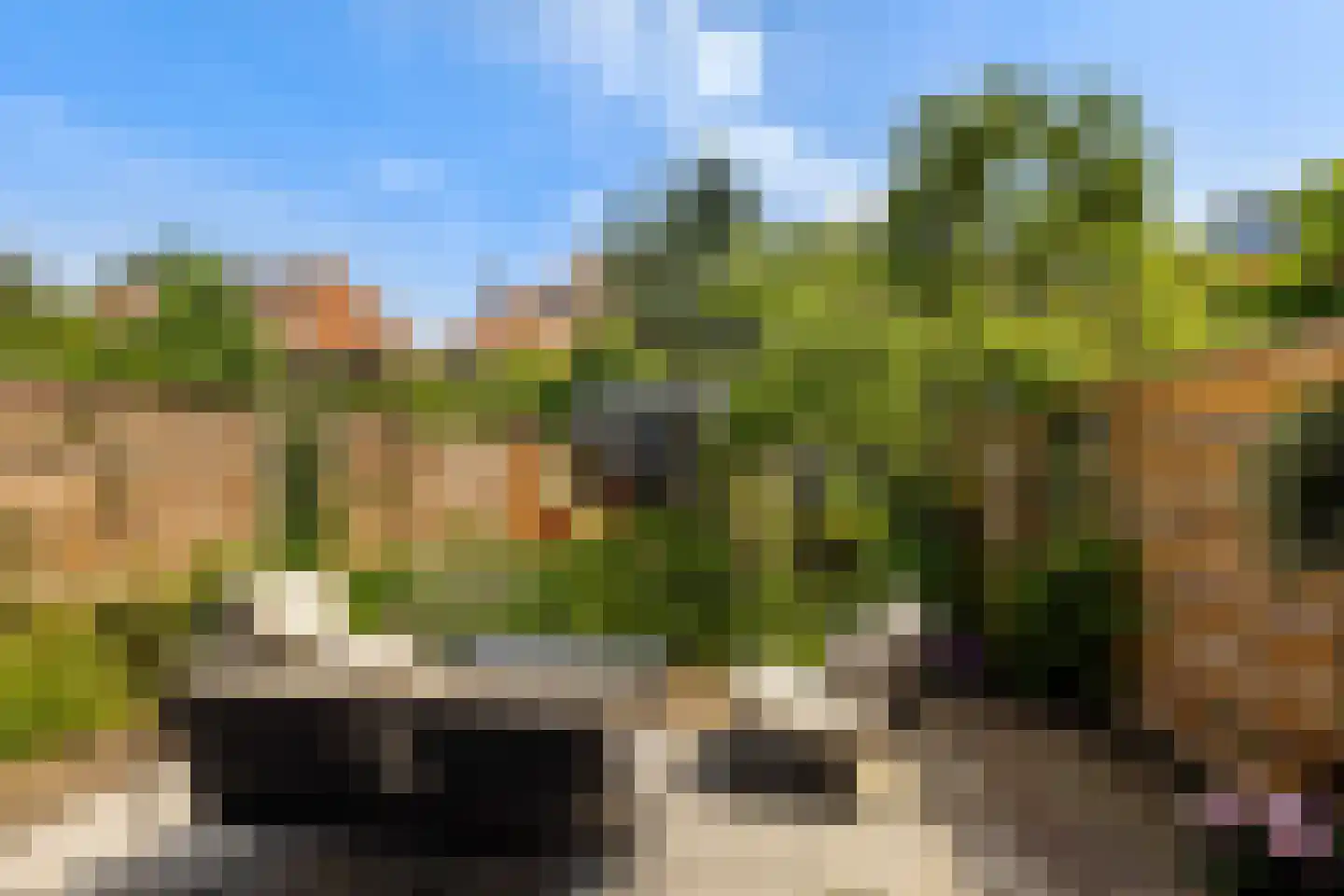 Schiebroeksesingel 8 Rotterdam thumbnail 33