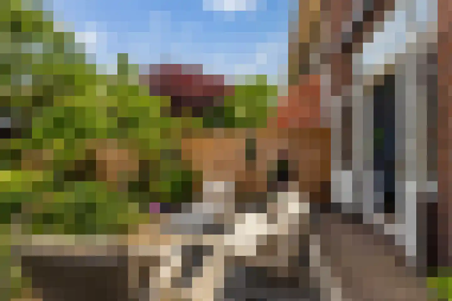 Schiebroeksesingel 8 Rotterdam thumbnail 34