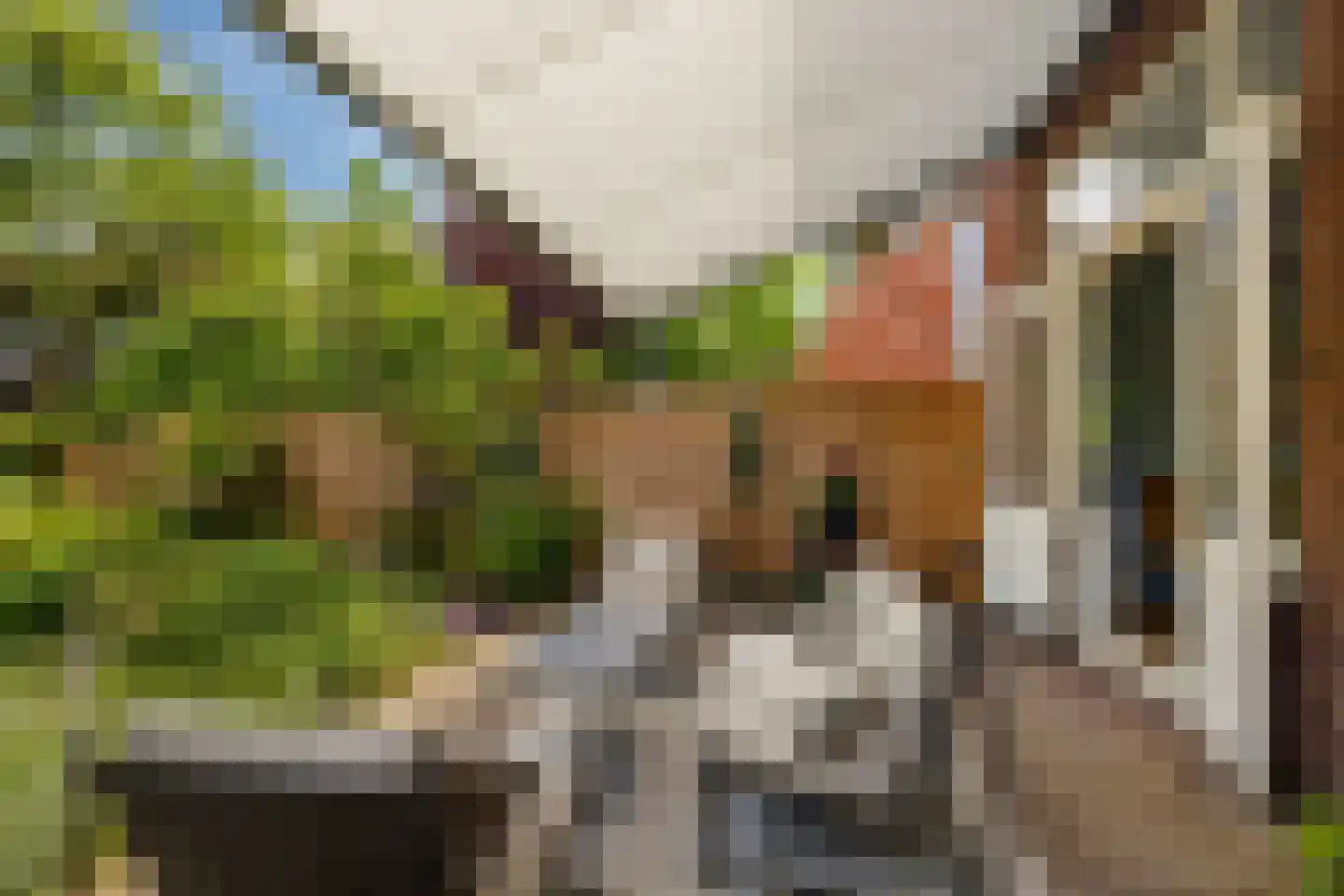 Schiebroeksesingel 8 Rotterdam thumbnail 35