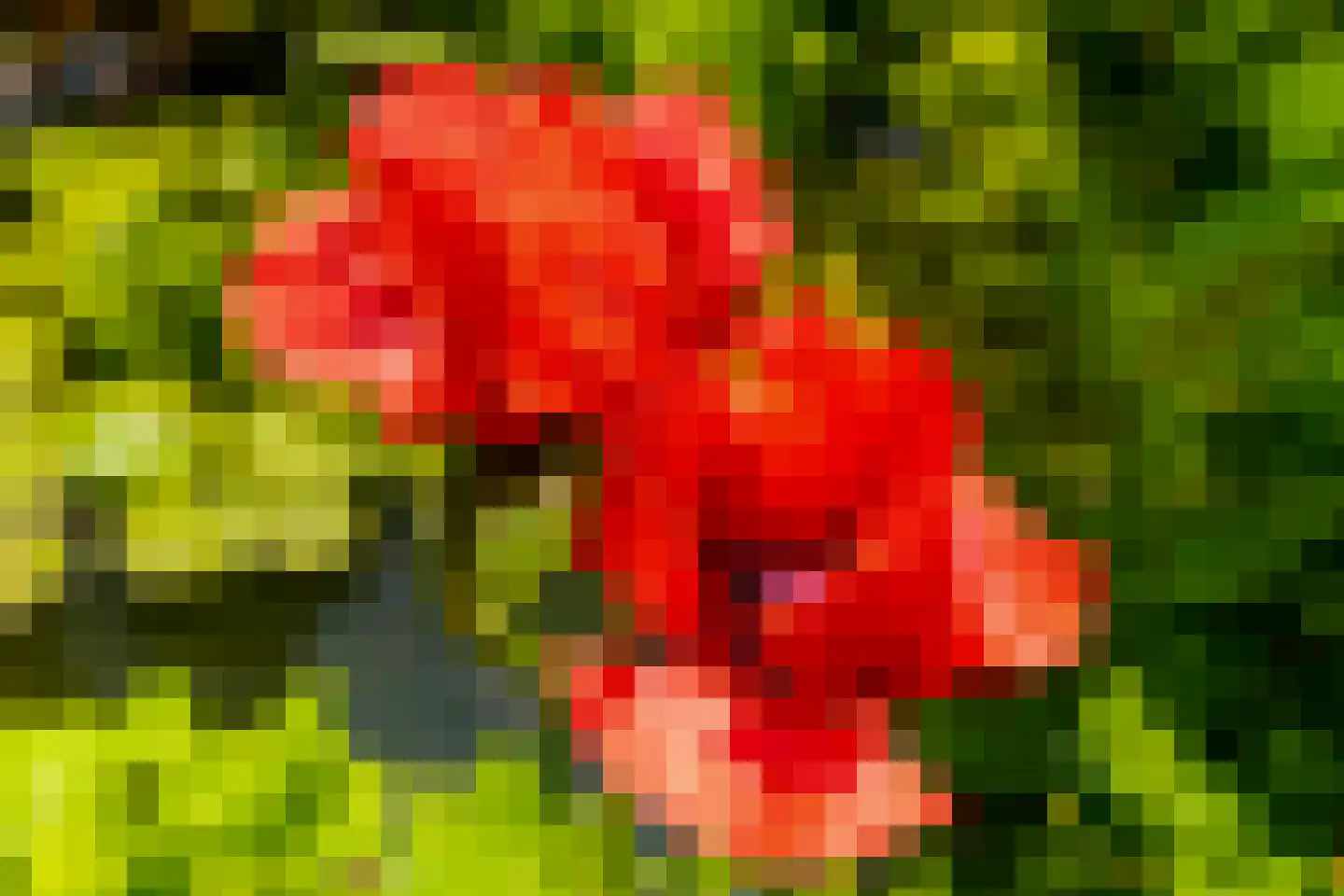 Schiebroeksesingel 8 Rotterdam thumbnail 36