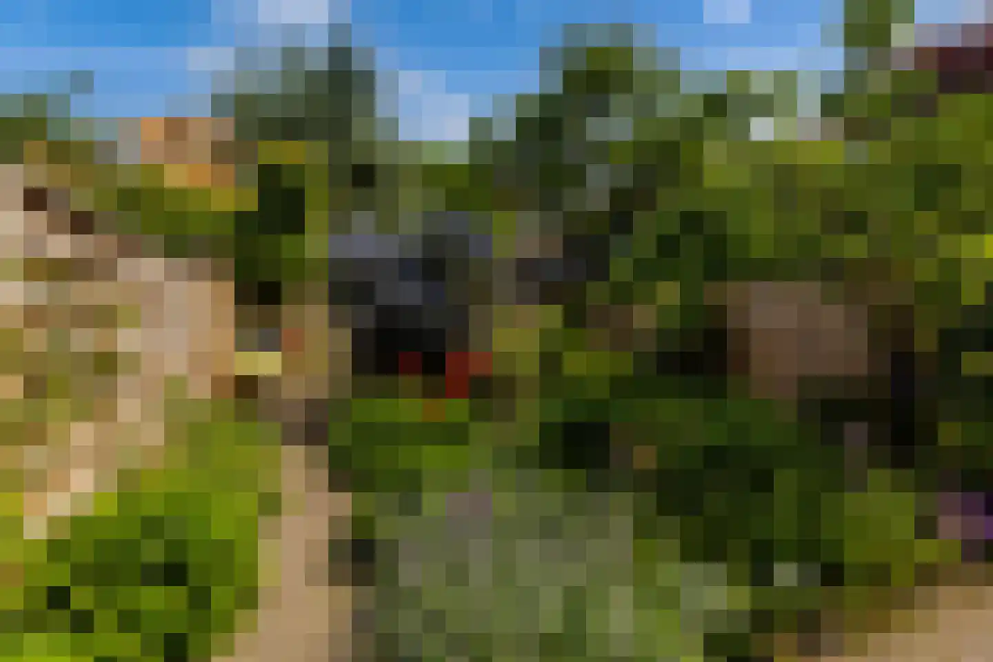 Schiebroeksesingel 8 Rotterdam thumbnail 37