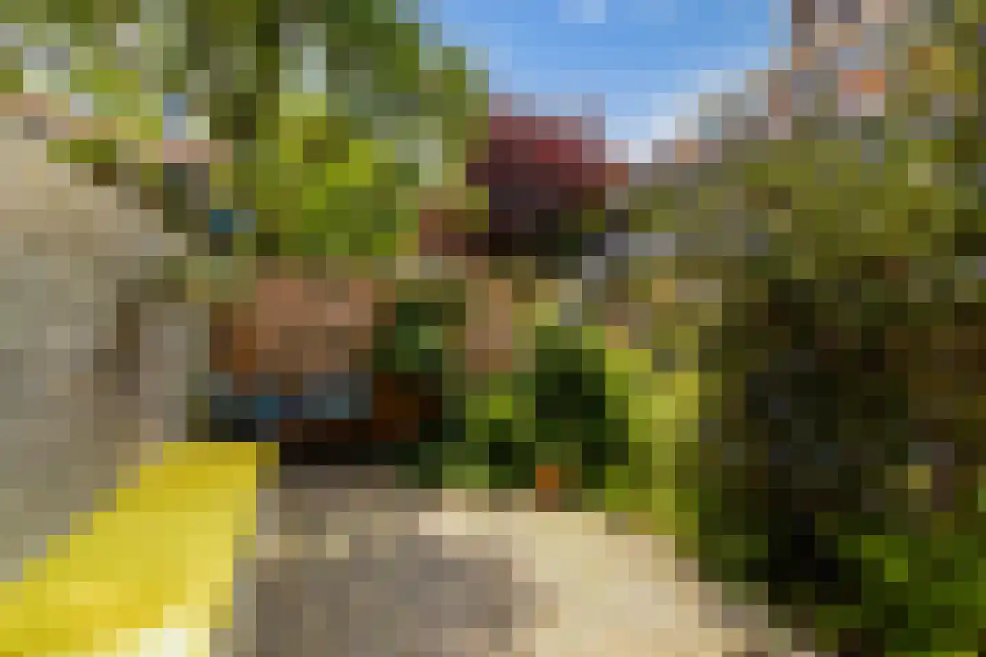 Schiebroeksesingel 8 Rotterdam thumbnail 39