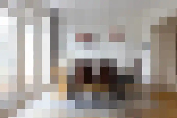 Schiebroeksestraat 10 Rotterdam thumbnail 12